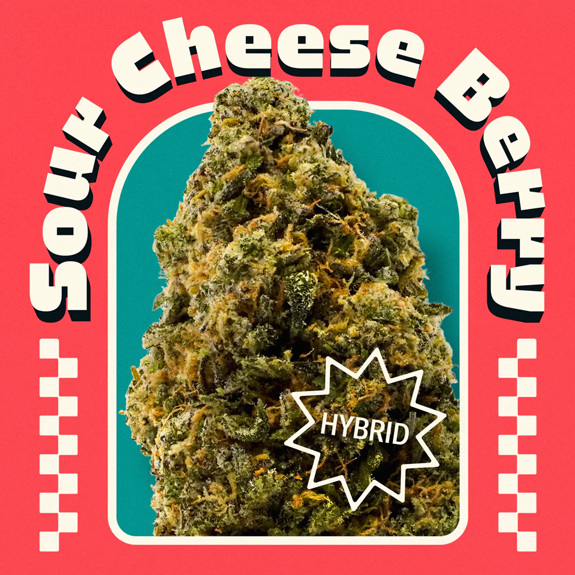 Sour Cheese Berry | Hybrid | [14.15g] | Terrasana (Cleveland)