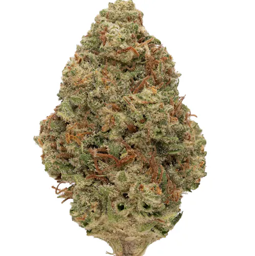Rolling Green | Poptart | Indica-Hybrid | Flower-1