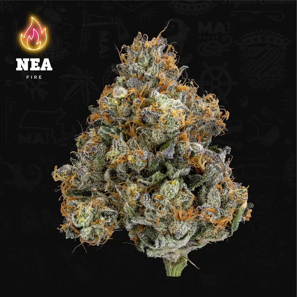 Photo of Lava Cake 3.5g Flower Northeast Alternatives