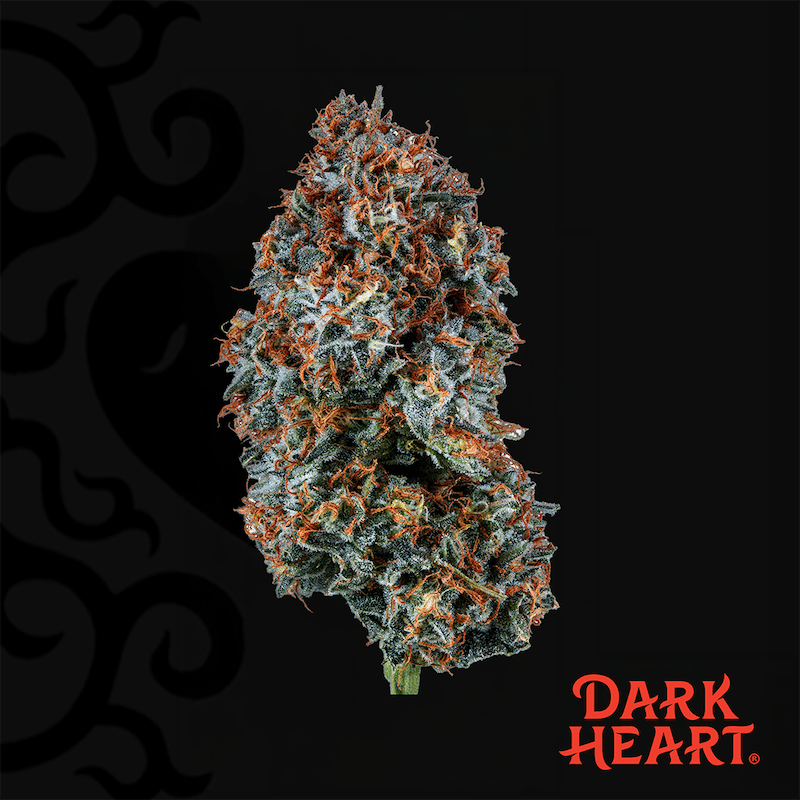 Product Dark Heart - Razzle Dazzle Flower (14g)