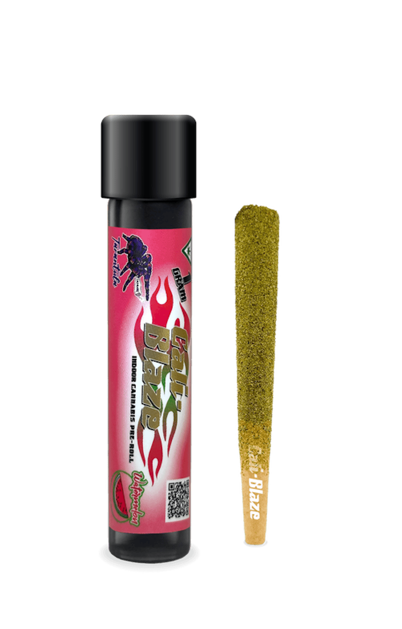 Watermelon Tarantula | 1g