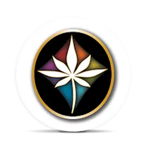 High Country Cones Logo