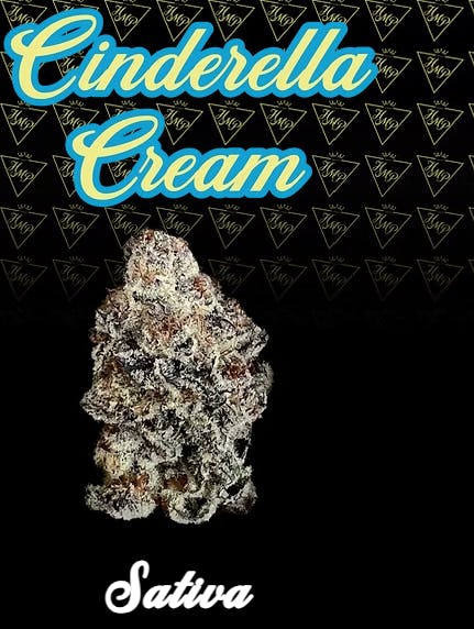 Product Cinderella Cream Buds