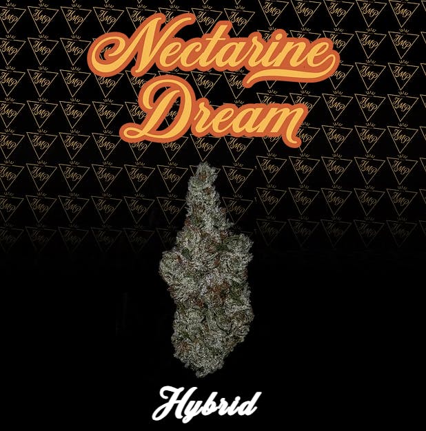 Product Nectarine Dream Buds