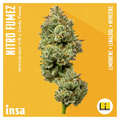 INSA Nitro Fumez 3.5g-active