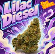Lilac Diesel