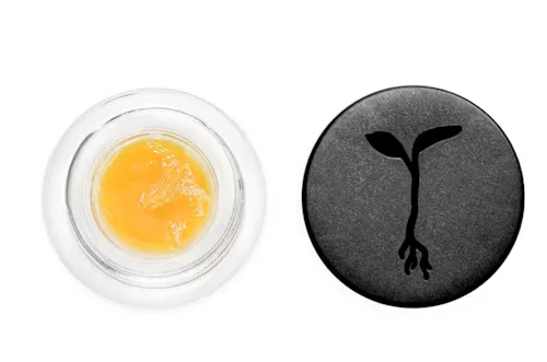 Tre Flip Kush Live Badder-1