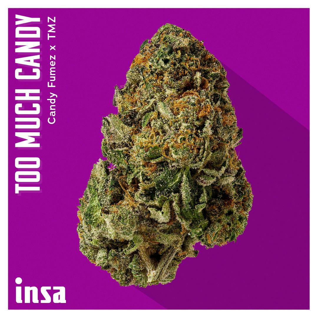 Product Too Much Candy | Flower | 3.5g
