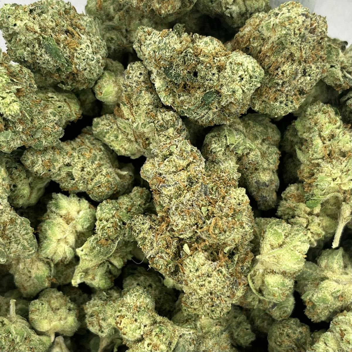 Photo of Gold Shelf – Donkey Butter (I)