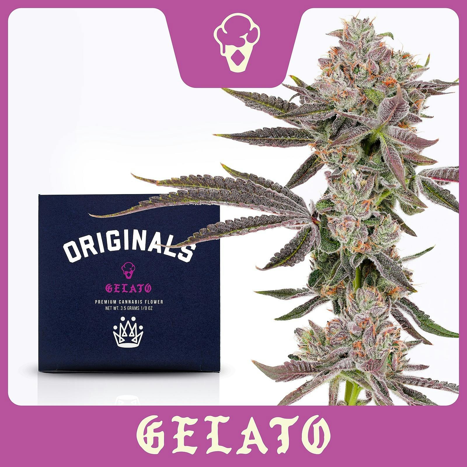 Product Originals | Gelato | Flower