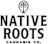dispensary logo