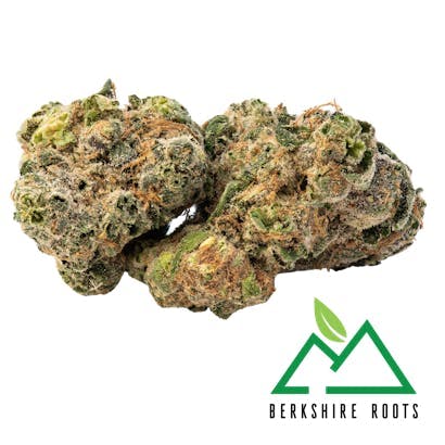 Product Ice Cream Kush (H) | Flower