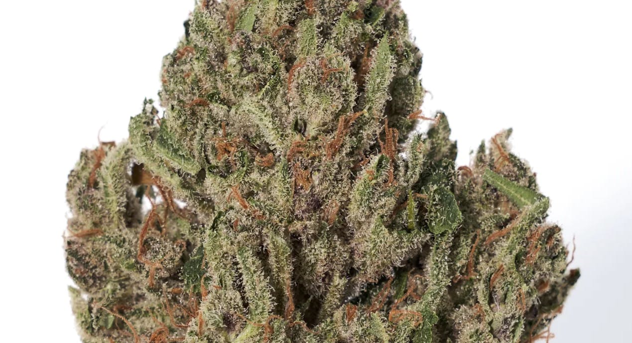 Biscotti Dime Bag