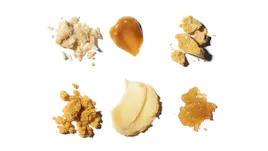 Concentrates category image