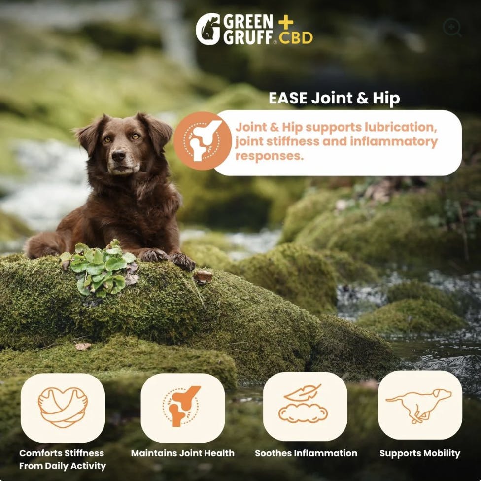 Green Gruff- Ease Plus CBD | Joint & Hip Dog Supplement 90ct-1