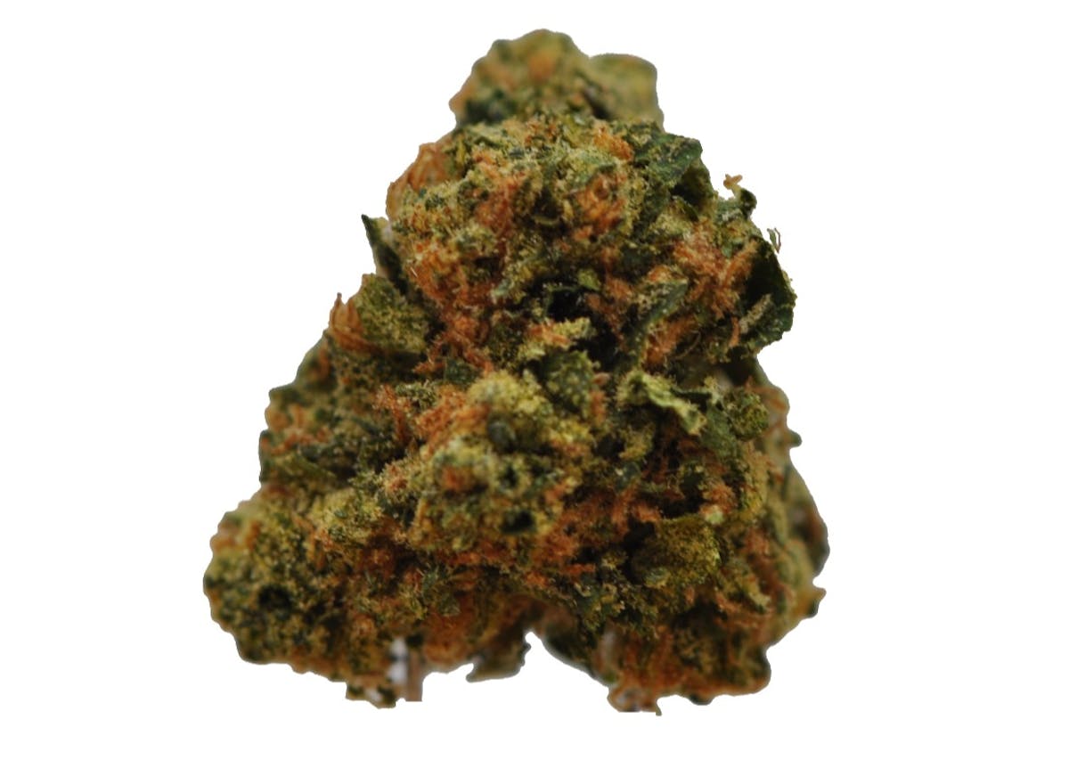 Image of Glazed Apricot Gelato | 14g House “Small Bud” Flower