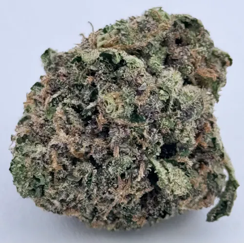 Ayo: Flower | Marshmallow Nights | 3.5g-1