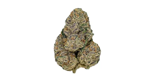 TruSmoke | Blue Zushie-active