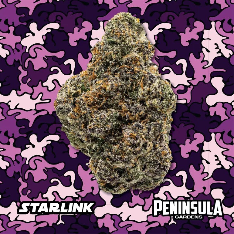 DELI - Peninusla Gardens - Starlink