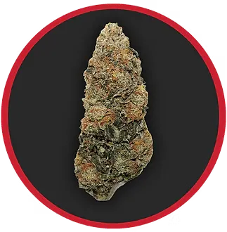 ROBUST - PREPACK - 3.5G - T2 - BUBBA KUSH - INDICA | Key Missouri