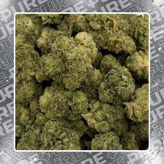 Product Image Alt