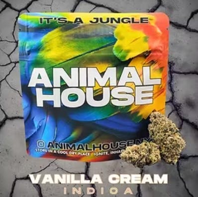 Animal House Vanilla Cream Flower