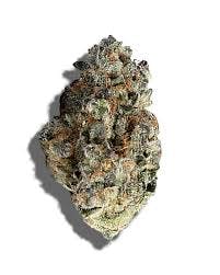 GATSBY CANNABIS CO. GATSBY CANNABIS CO. | POLAR PROPANE | PRE-PACK HYBRID — FLOWER