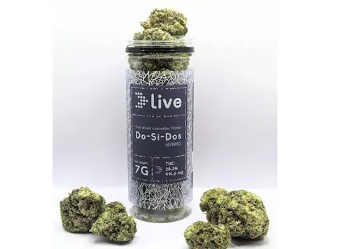 Live | Do-Si-Dos | Flower-active