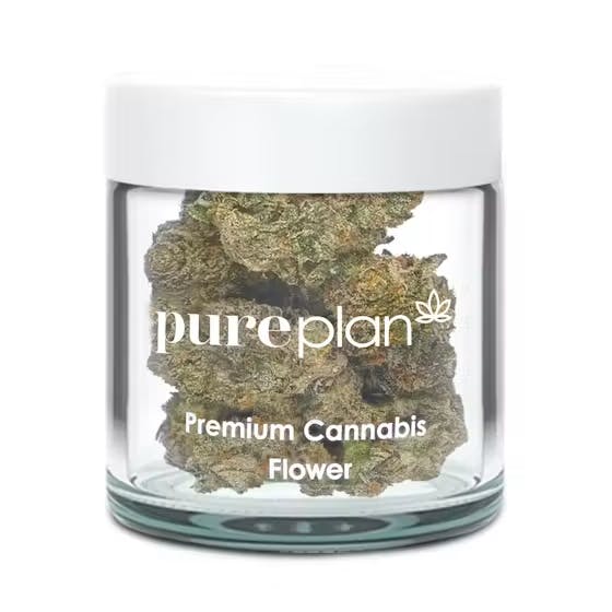 Dulce de Papaya (Tops)