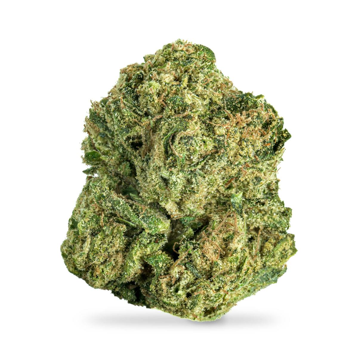 Photo of Florida OG B Buds