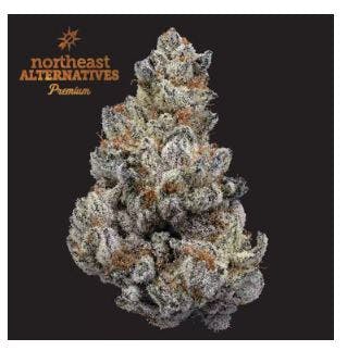 Product Dante's Inferno #10 Buds