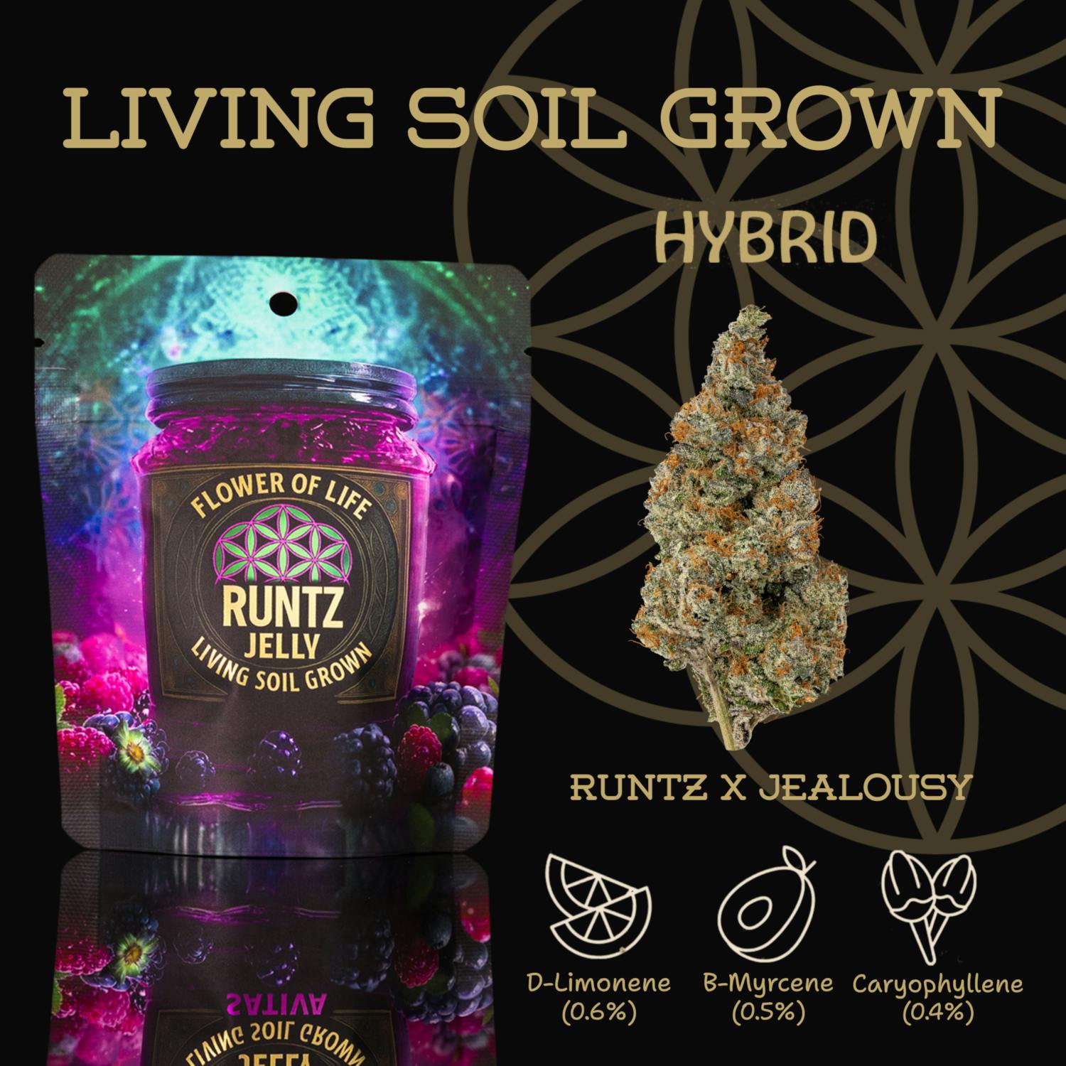Product: Flower of Life | Bulk Bud - Runtz Jelly