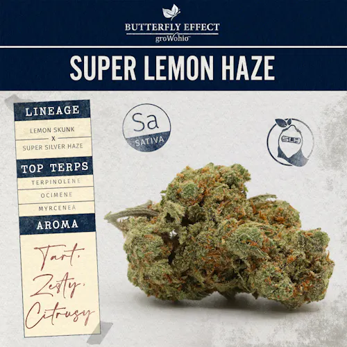 Super Lemon Haze [2.83]-active
