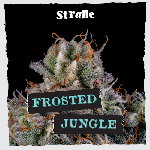 Frosted Jungle (IH)- (3.5g)-1
