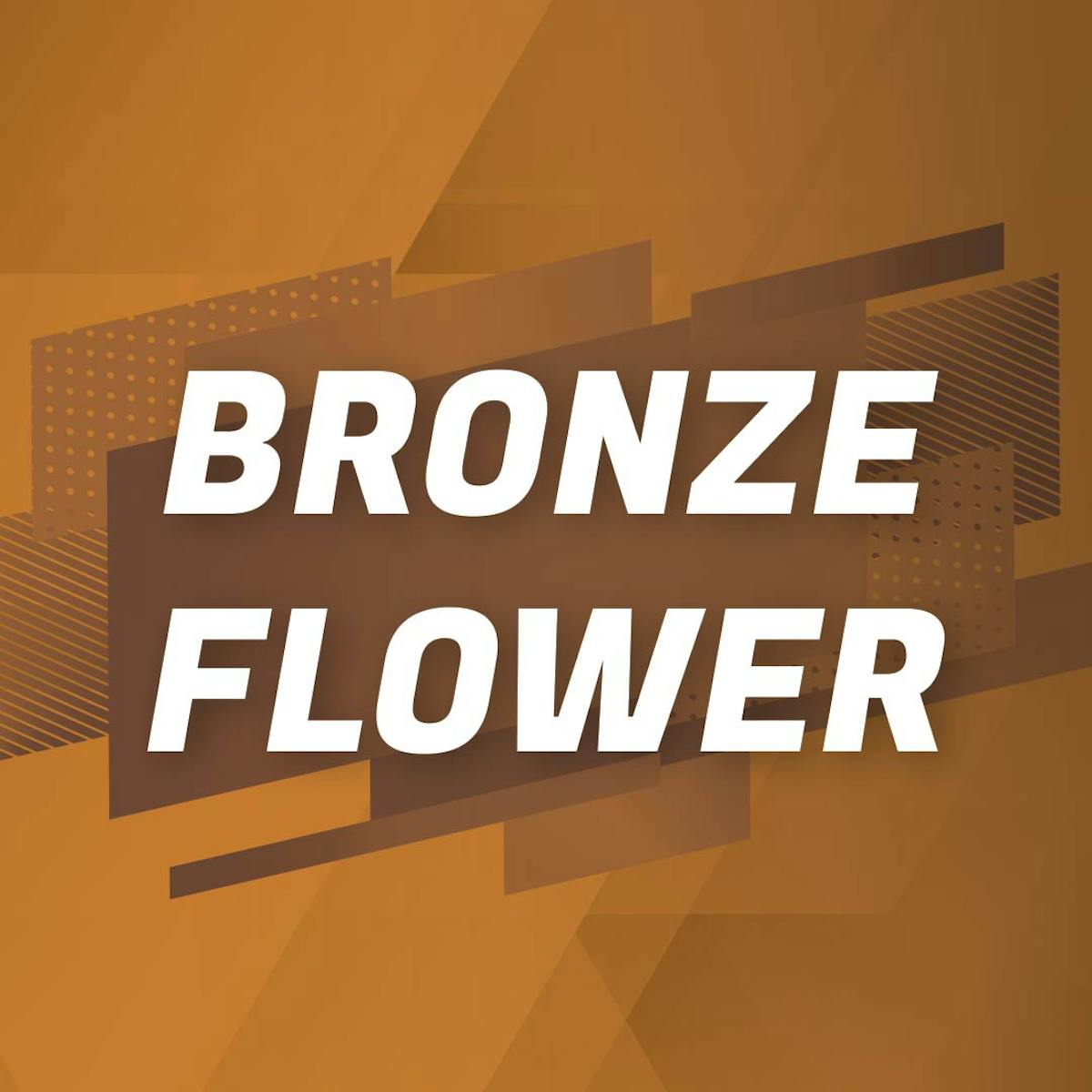Photo of Bronze Shelf – Collins Ave (H)