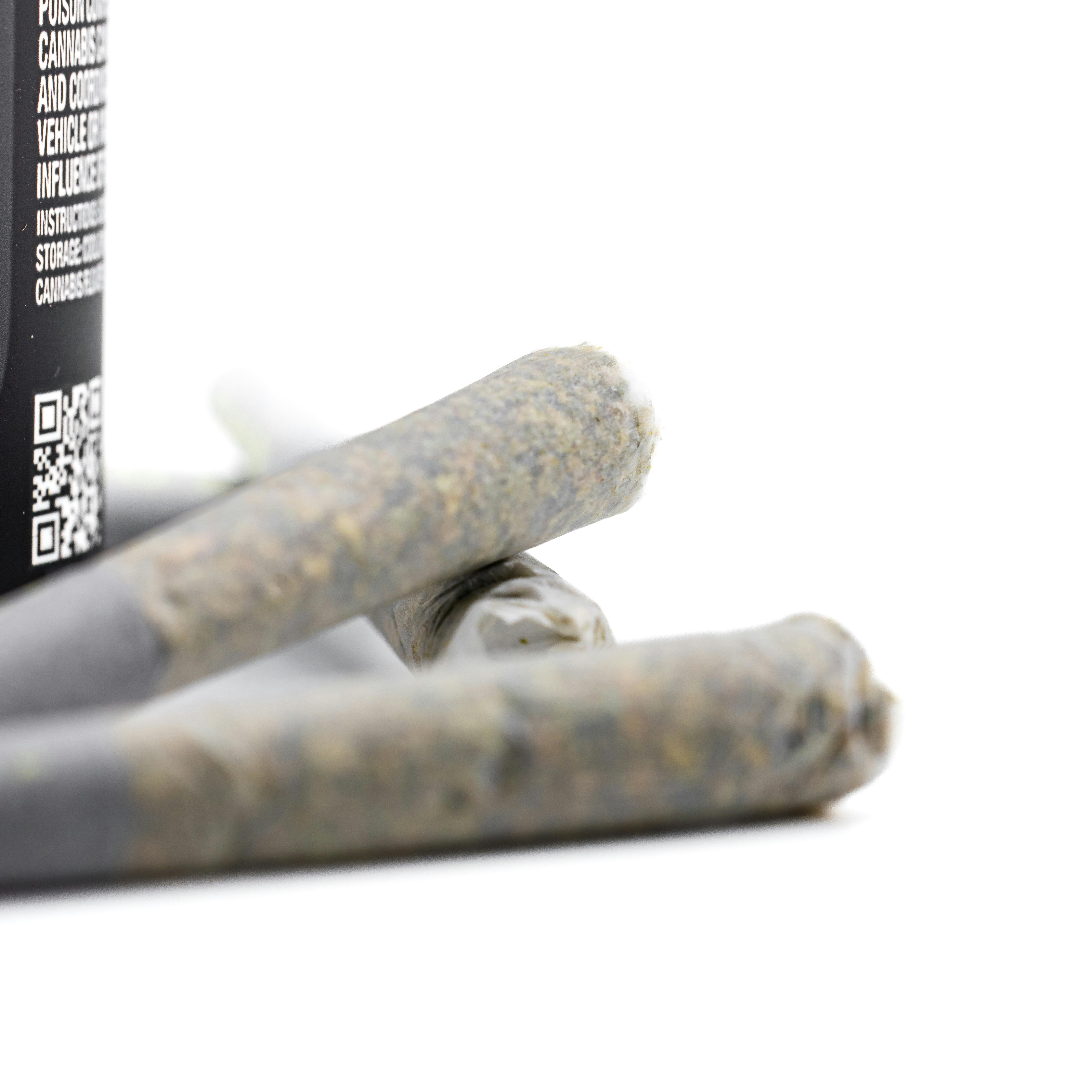 MEGAN FOXXX (7 PACK PRE-ROLL)-2