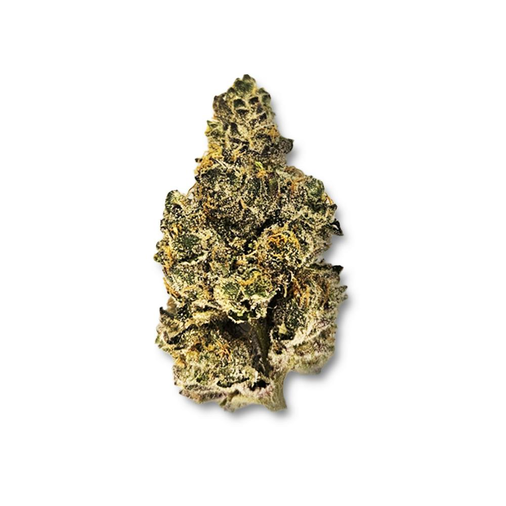 Velvet Glove | Theory Wellness (Chicopee MED)