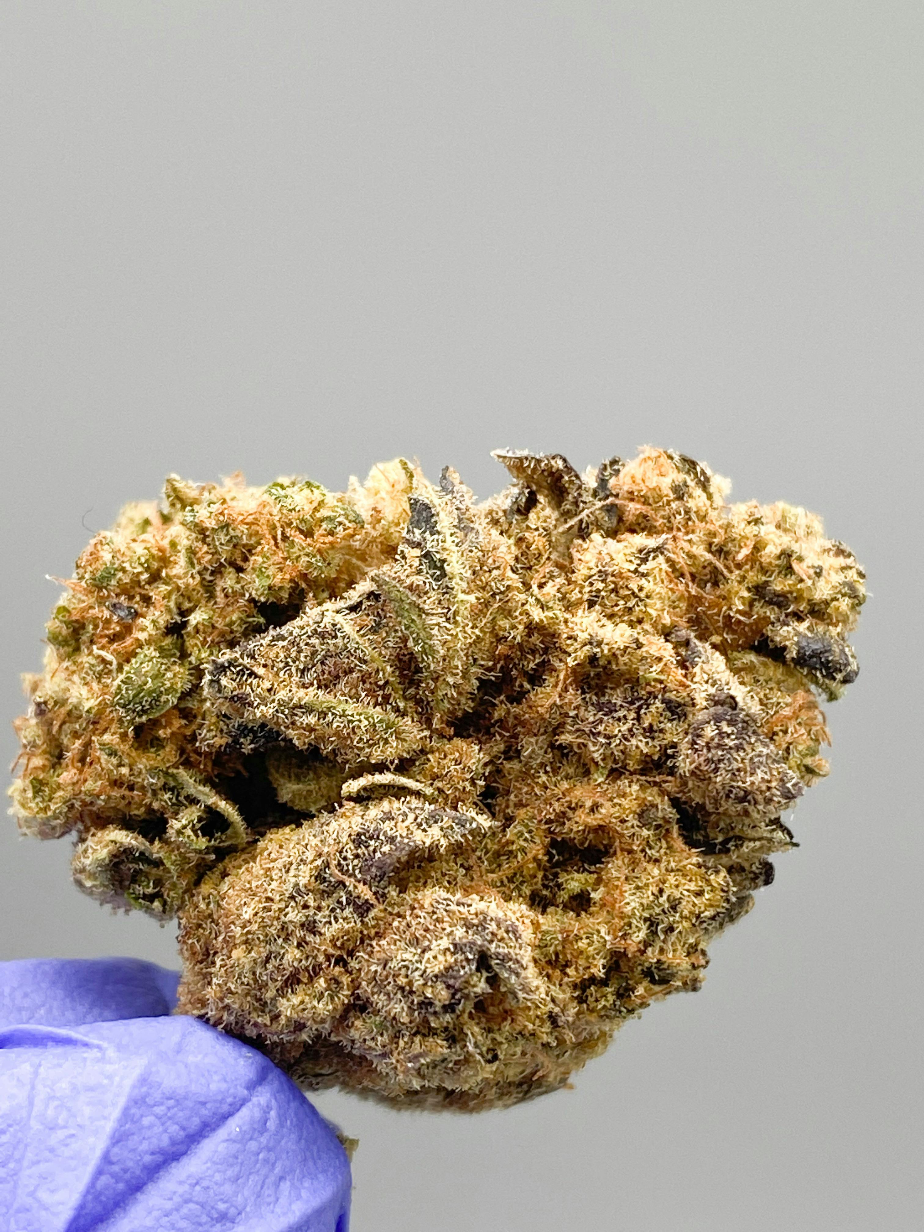 数量限定 LA産THCV 420％ Og kush 三本 - schloss-freiland.at