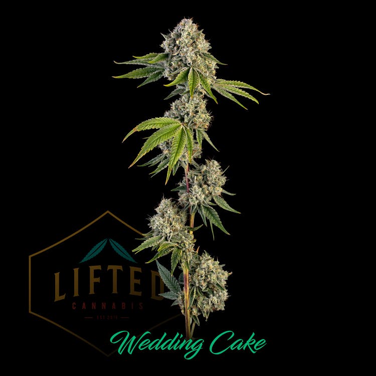 Lifted: Wedding Cake