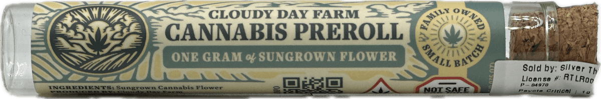 Image of Peyote Critical | 1g Preroll