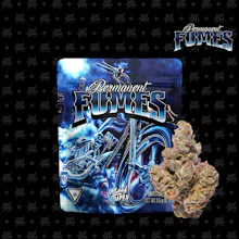 Seed Junky - 3.5g Prepack - Permanent Fumes - FLOWER by Seed Junky at King of Budz