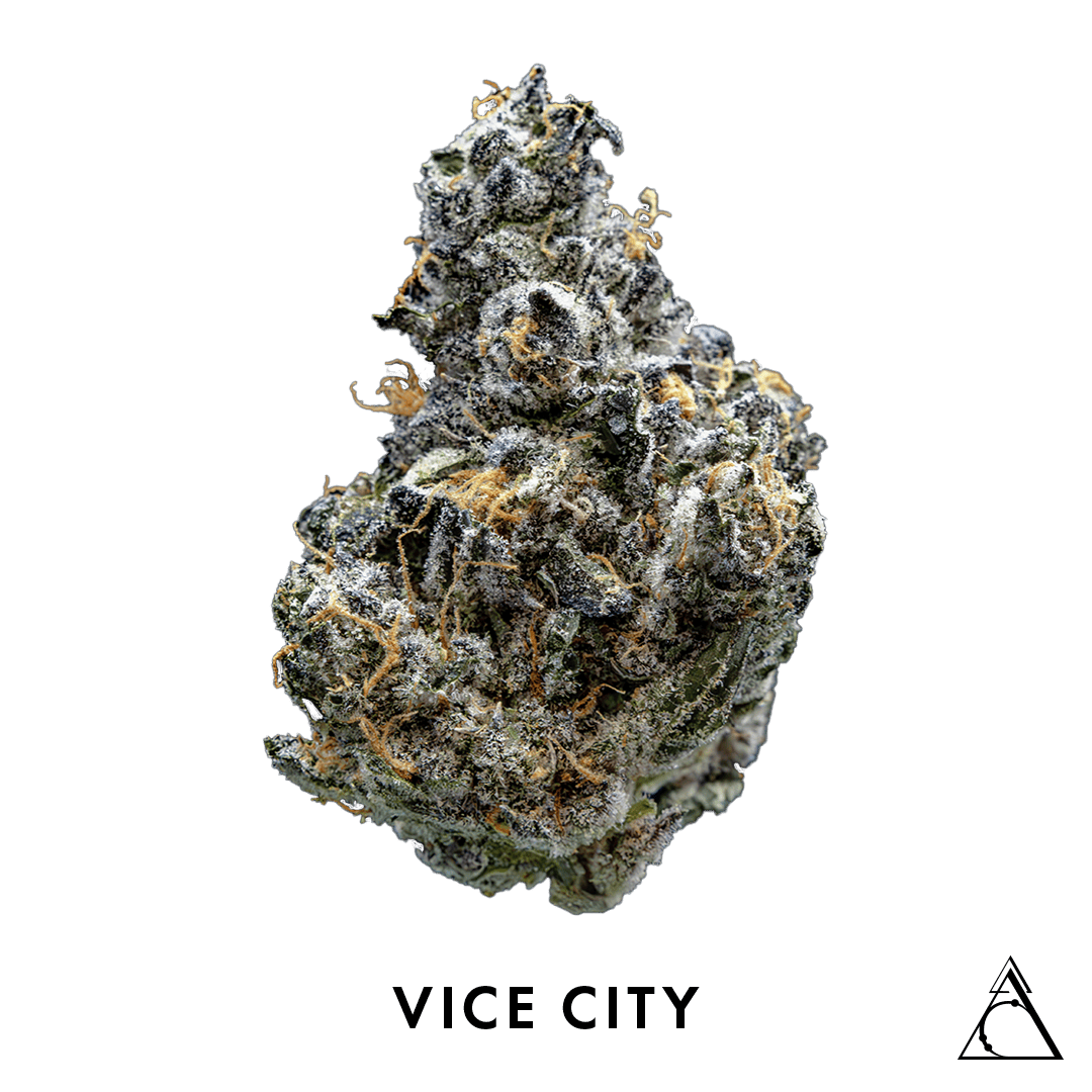 Society C SOCIETY C | VICE CITY | BULK | HYBRID — FLOWER