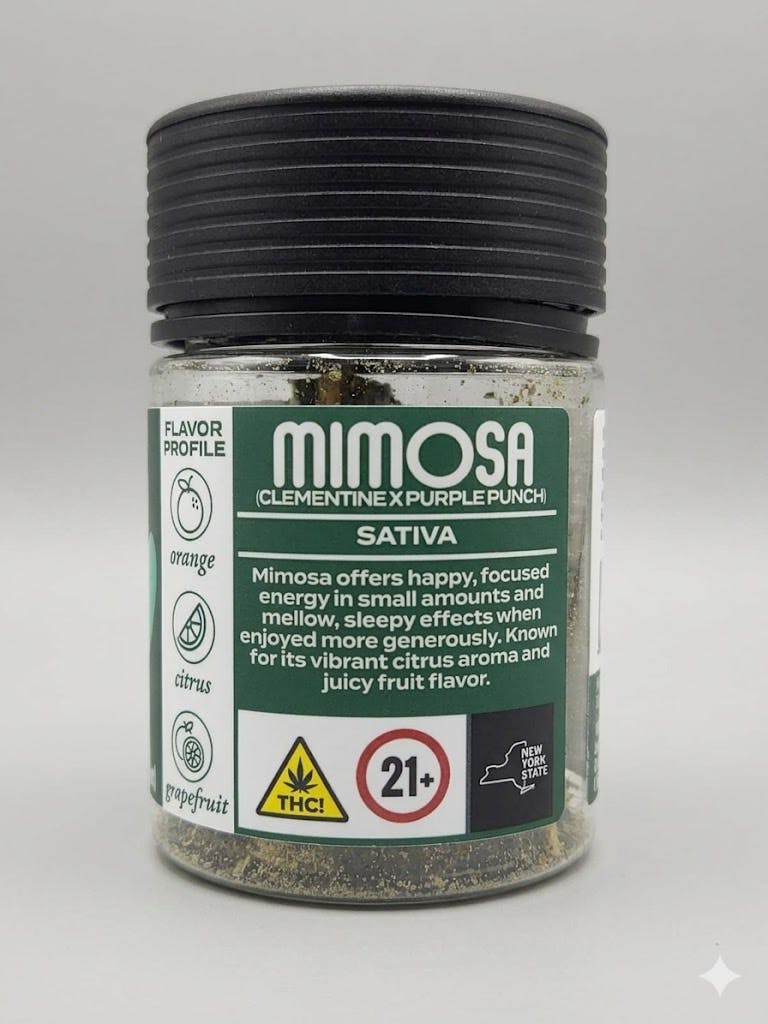 Herb - Mimosa - Flower