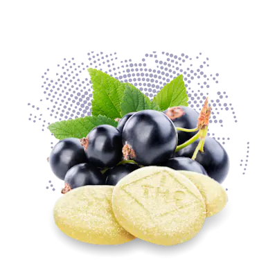 Black Currant - Rosin C-Bite