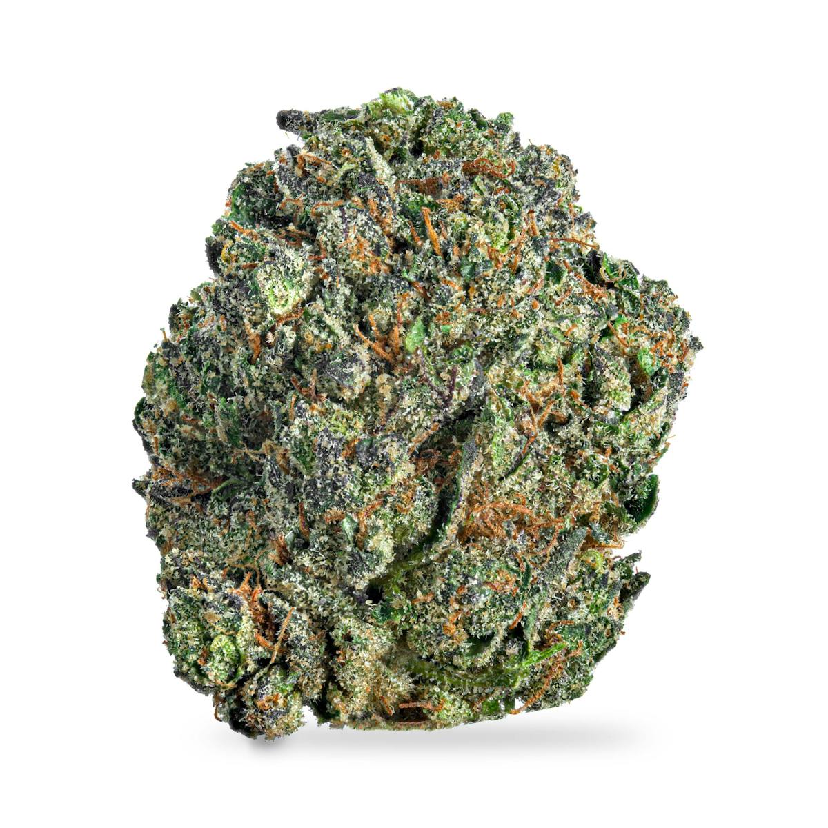 Photo of Ice Cream Cake x Gelato Mints