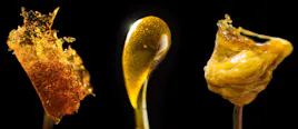 Concentrates category image