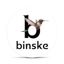 binske Logo