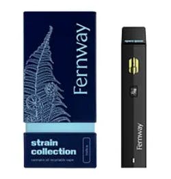 Product: Disposable [1g] | Space Queen