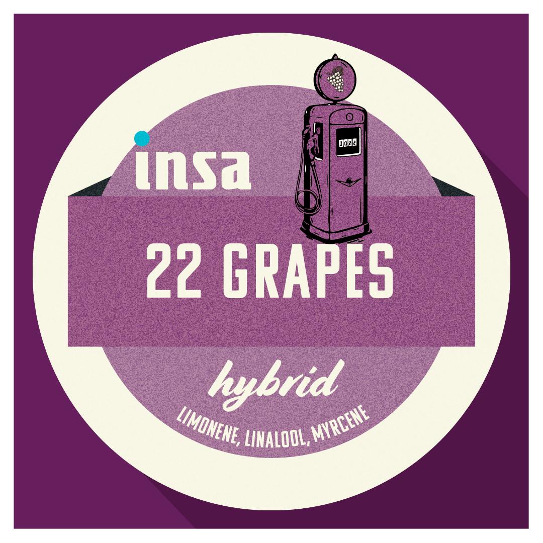 Grapesoda®︎0421 Faygo Grape 20 Oz Soda Pop, Quantity of 24