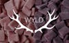 WYLD Wednesdays | B2G1 WYLD Gummies